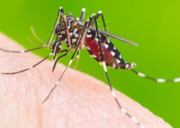 Prefeitura de Goiânia abre imóveis fechados no combate à dengue