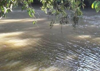 Bombeiros fazem buscas por garçom que desapareceu no Rio Piracanjuba
