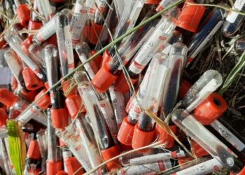 Caminhoneiro flagra descarte de frascos de coleta de sangue na BR-060