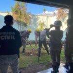 Mulher é presa após matar e enterrar marido em jardim de casa, em Goiânia