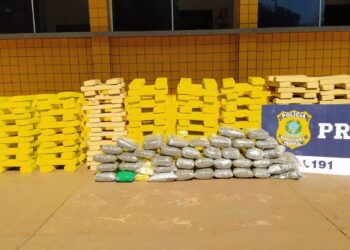 PRF apreende drogas avaliadas em R$ 700 mil na BR-364, em Jataí