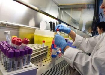 Em 24 horas, Goiás tem 17 mortes e passa de 14 mil casos de covid-19