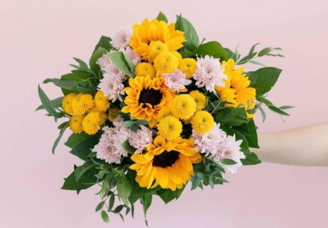 floriculturas Asa Sul Brasília