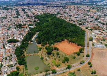 Goiânia tem 31,72% de recuperados diante de 2.175 casos de covid-19