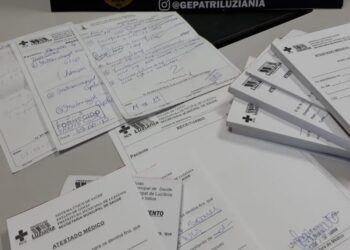 Mulher é presa suspeita de vender atestados médicos falsos, em Luziânia