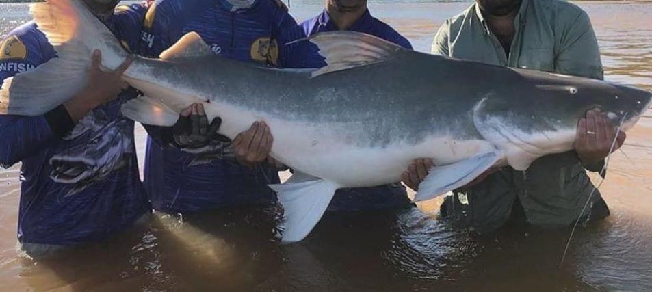 Para evitar aglomeração de turistas, Justiça cancela torneio de pesca em Goiás