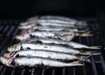 Peixarias em Brasília: saiba onde encontrar pescados frescos e de qualidade
