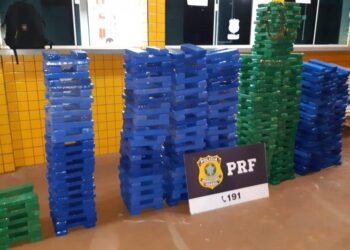 PRF apreende quase meia tonelada de maconha na BR-364, em Jataí