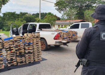 Em 18 meses, 81 toneladas de drogas são apreendidas, em Goiás