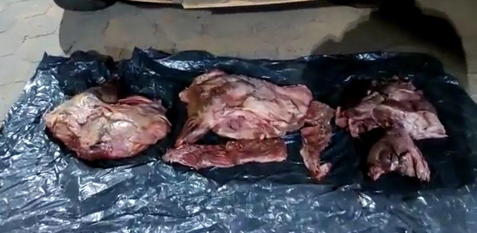 Homem é preso com carcaça de animal e armas ilegais, em São Miguel do Araguaia