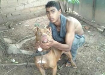 Morre em Goiânia menino que teve 80% do corpo queimado