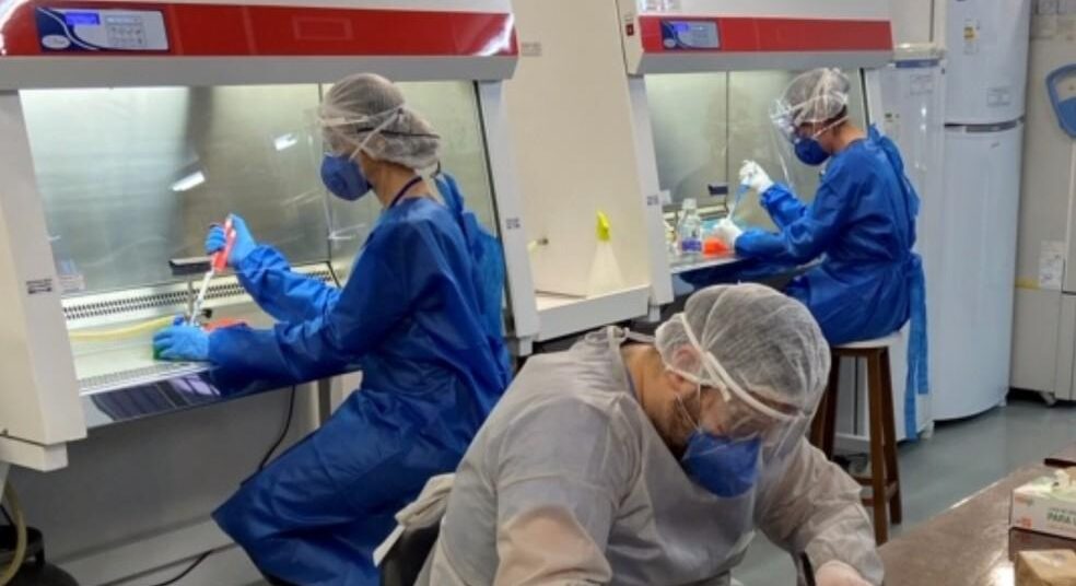 Pesquisadores da UFG identificam possíveis alvos terapêuticos para tratamento da COVID-19