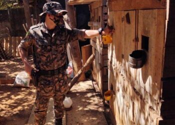 PMGO apreende galos que eram criados para rinhas, em São Luís de Montes Belos