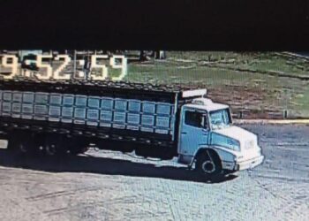 Polícia Civil prende quatro suspeitos de roubo de gado e latrocínio tentado em Goiás e Minas Gerais