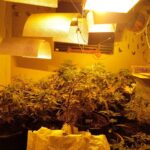Três pessoas são presas em laboratório de 'supermaconha', em Valparaíso