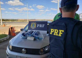PRF apreende droga e provoca impacto de mais de R$2,2 milhões ao narcotráfico