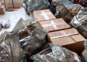 Polícia apreende mais de 3,5 mil pares de tênis falsificados na região da 44, em Goiânia