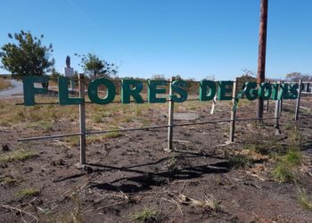 Após fortes chuvas, Flores de Goiás decreta situação de emergência