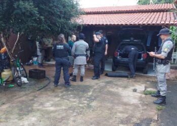 Homem é preso suspeito de furtar gado avaliado em R$ 400 mil, em Anápolis