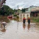Forte chuva em Goiânia causa alagamentos e transtornos para moradores