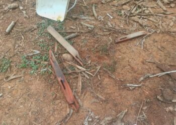 Irmãos que mataram o pai, em Caldas Novas, são indiciados pelo crime
