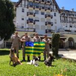 Equipe de bombeiros que atuou na tragédia em Petrópolis volta a Goiás