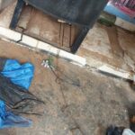 Homem é preso pela segunda vez por maus-tratos contra animais, em Goiânia