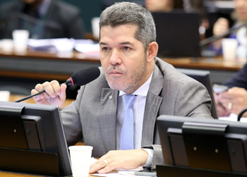 Delegado Waldir
