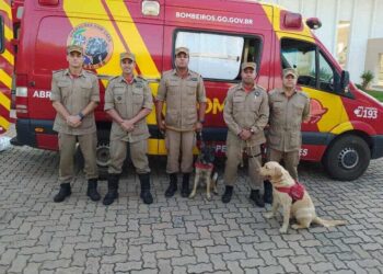 Bombeiros de Goiás são enviados a Pernambuco para auxiliar nas buscas por desaparecidos