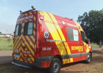 Menina é picada por cobra durante pescaria na zona rural de Niquelândia