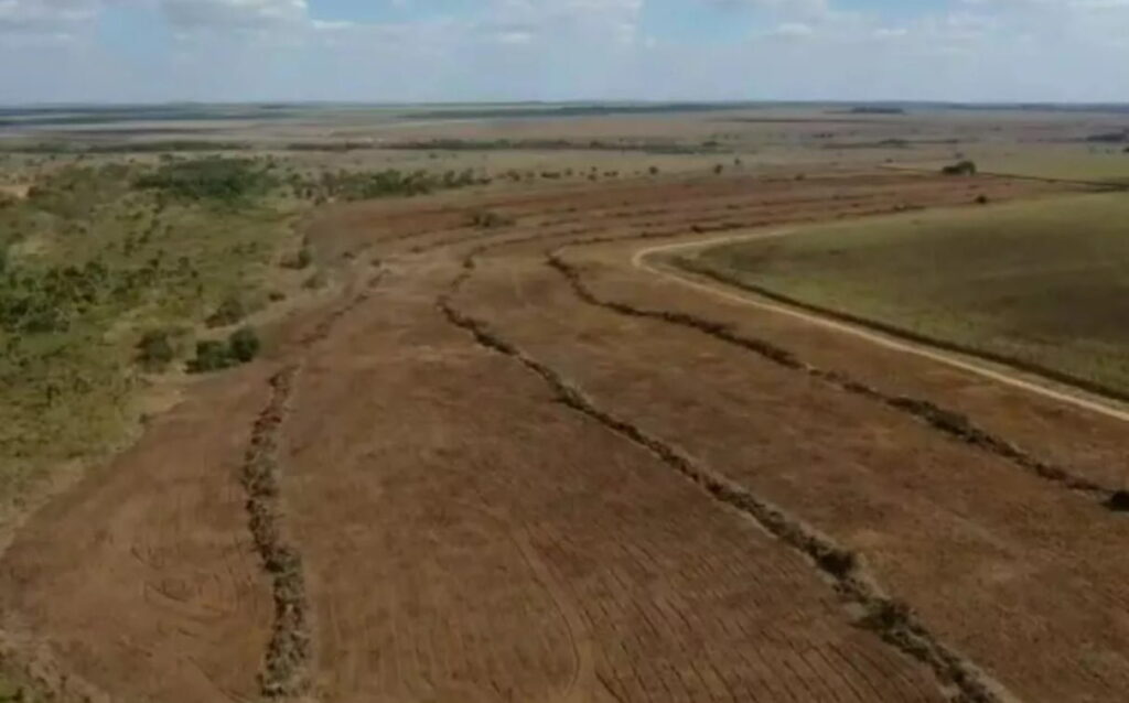 Desmatamento ilegal é encontrado às margens do Parque Nacional das Emas, em Goiás