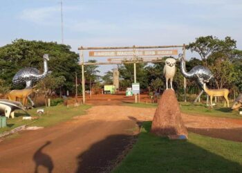 Desmatamento ilegal é encontrado às margens do Parque Nacional das Emas, em Goiás