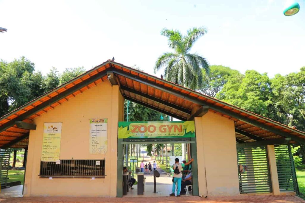 Férias escolares: brincadeiras, atividades e lugares para visitar, em Goiânia