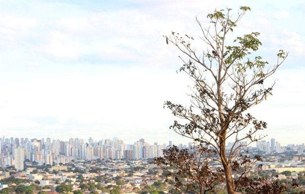 Temperaturas podem chegar a 9ºC em algumas regiões de Goiás, diz Cimehgo