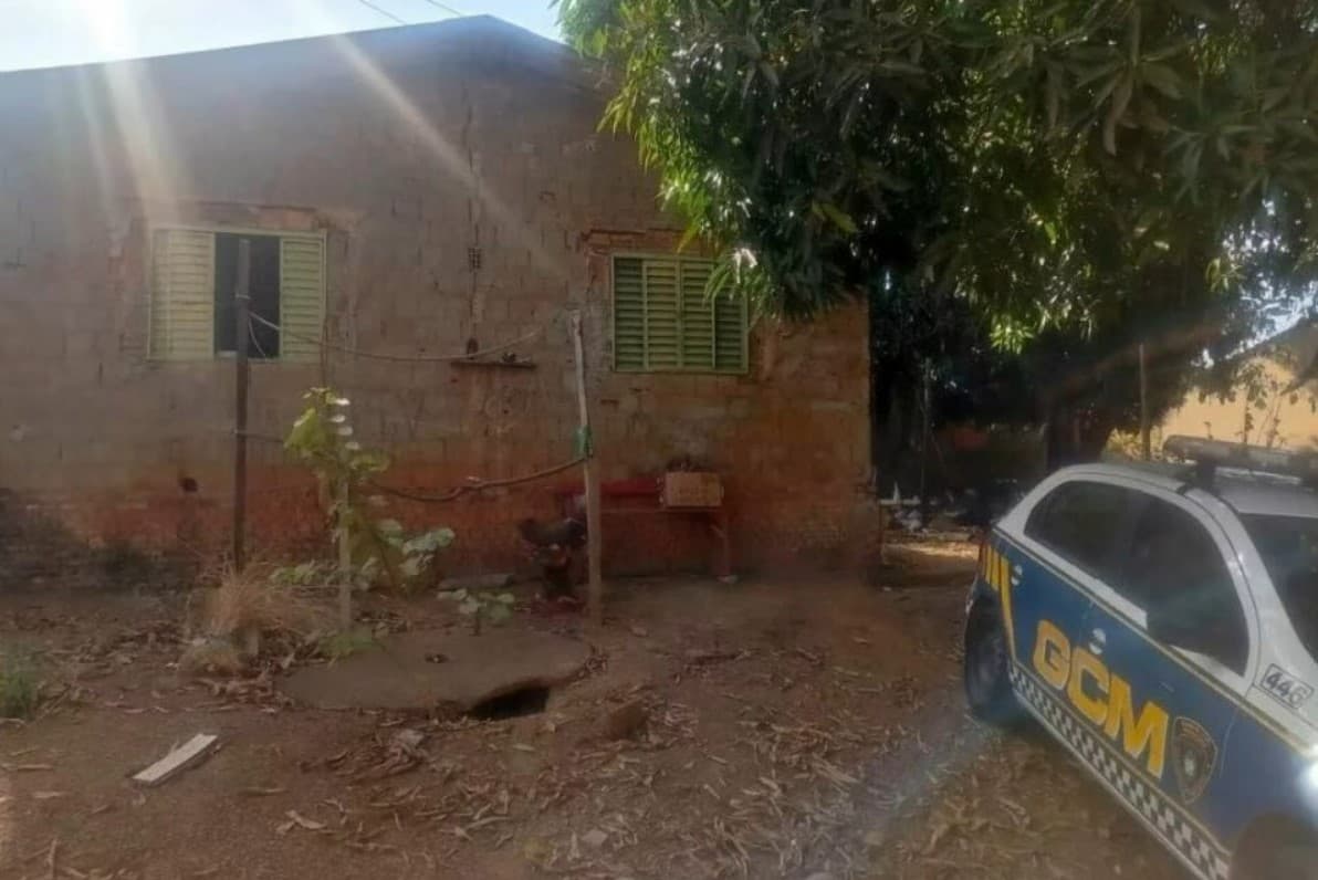Homem é preso por matar cachorros e consumir a carne, em Aparecida de Goiânia
