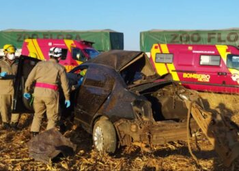 Motorista que dirigia carro roubado morre em acidente com caminhão na GO-330, em Ipameri