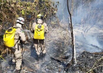 Bombeiros controlam incêndio que atingiu 150 hectares de vegetação no Parque João Leite