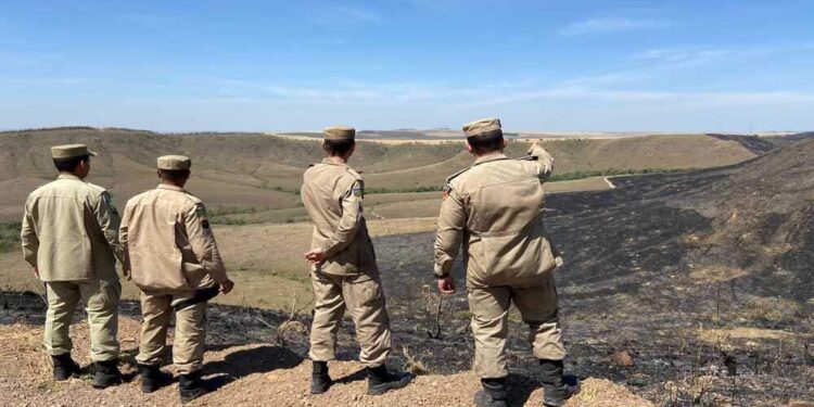 Queda de raios provocam incêndios na Chapada dos Veadeiros