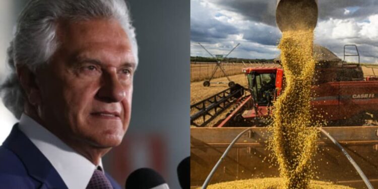 Governo de Goiás encaminha à Alego projetos de lei que taxam agronegócio