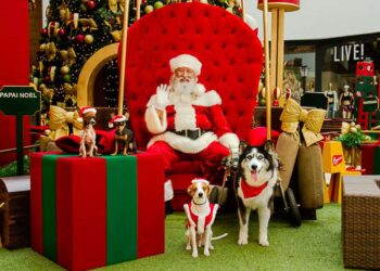 Natal 2022: chegada do Papai Noel em shoppings de Goiânia abre festividade natalina