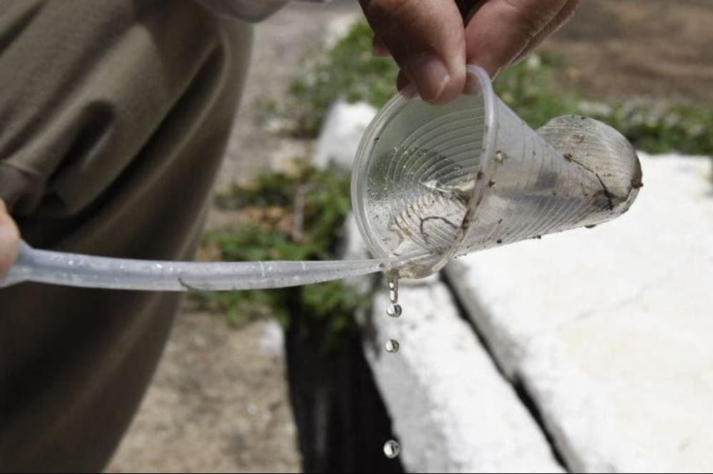 Dengue: Período chuvoso e férias acendem alerta para proliferação do Aedes aegypti