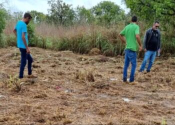 Padrasto é indiciado após morte de enteado que teve perna triturada em máquina agrícola