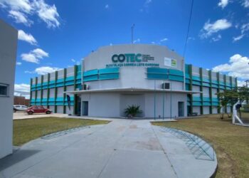 Cotecs abrem mais de 5 mil vagas em cursos gratuitos; veja como se inscrever