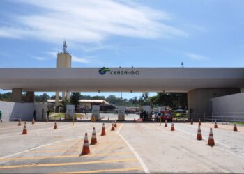 Falta de energia na Ceasa, em Goiânia, gera perda de 2 toneladas de alimentos