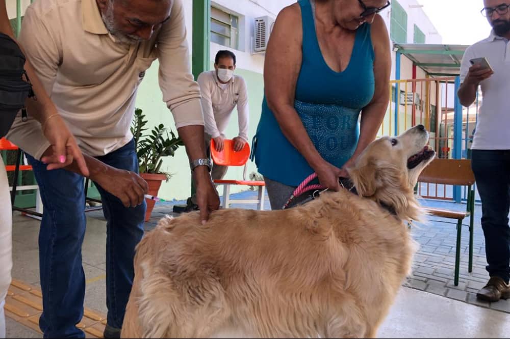Veja endereços de postos de vacinação antirrábica gratuita em Goiânia