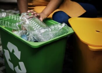 Logística reversa pode reduzir em até 20% descarte de embalagens em Goiás