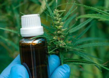 Medicamentos à base de cannabidiol