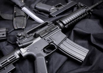 recadastramento de armas