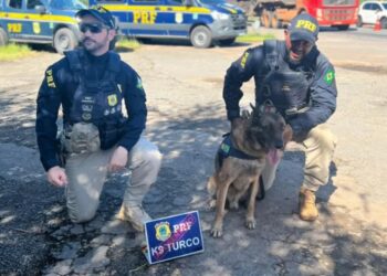 Cão farejador da PRF se aposenta e ganha festa épica com bolo de ração
