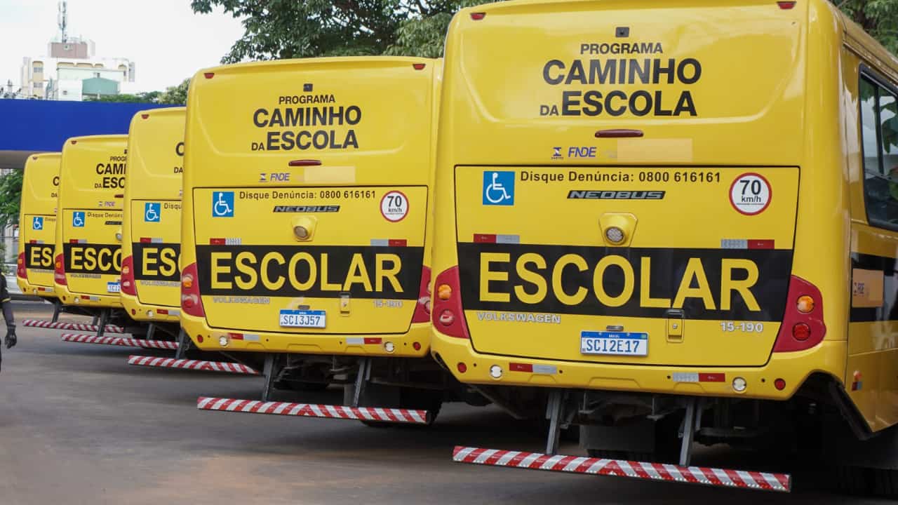 novos ônibus escolares